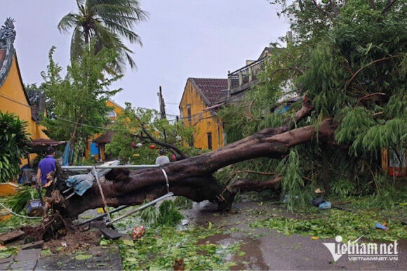 13 Khung Canh Tan Hoang Sau Bao O Quang Nam