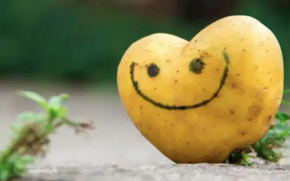 Khoai tây tốt cho sức khỏe tim mạch nhờ 3 lý do này