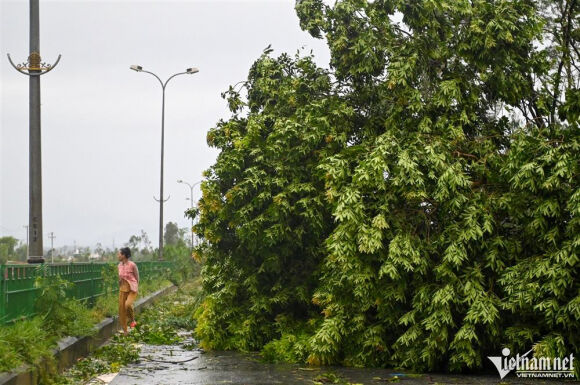 1 Khung Canh Tan Hoang Sau Bao O Quang Nam