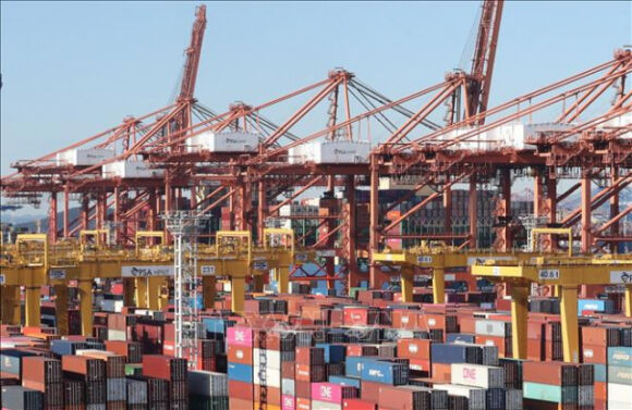 1 Tong Giam Doc Wto Canh Bao Sap Xay Ra Suy Thoai Toan Cau