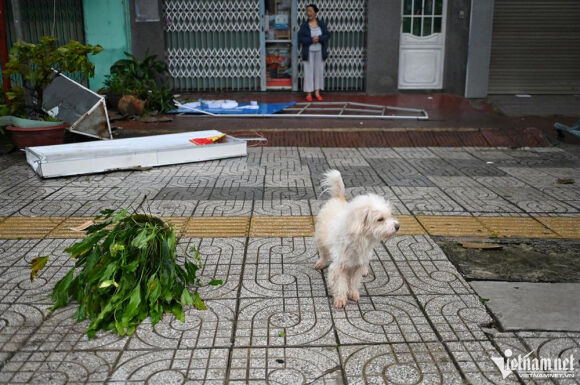 2 Khung Canh Tan Hoang Sau Bao O Quang Nam