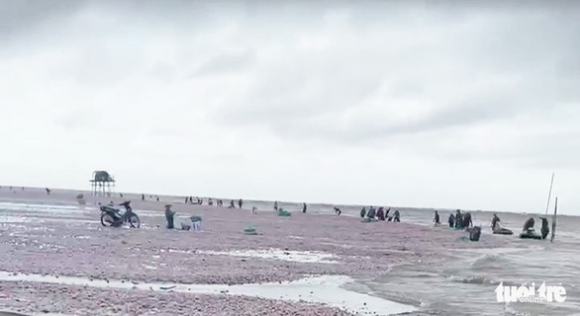 2 Hang Chuc Tan Ngao Song Danh Dat Vao Bo Dan Keo Nhau Di Nhat Loc Troi