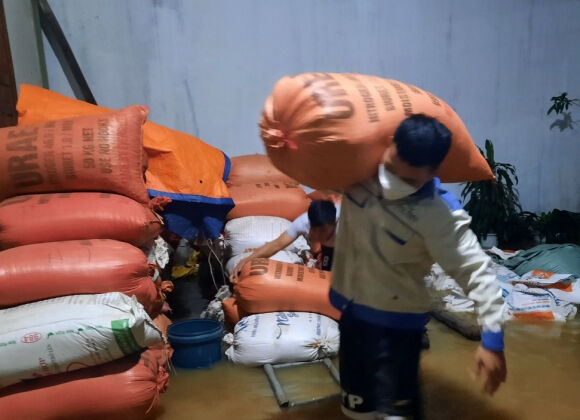 2 Mua Lon Sau Bao Noru Lan Rong Ra Mien Bac