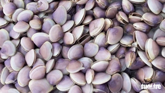 4 Hang Chuc Tan Ngao Song Danh Dat Vao Bo Dan Keo Nhau Di Nhat Loc Troi