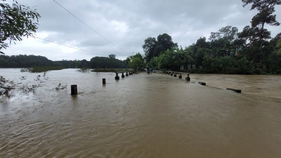 5 Mua Lon Sau Bao Noru Lan Rong Ra Mien Bac