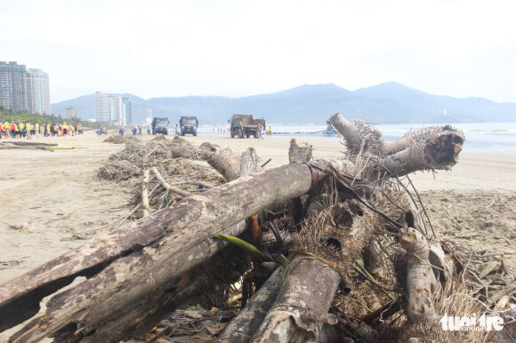 5 Dan Da Nang Keo Ra Bien Don Cat Lap Beo Dat Sau Bao