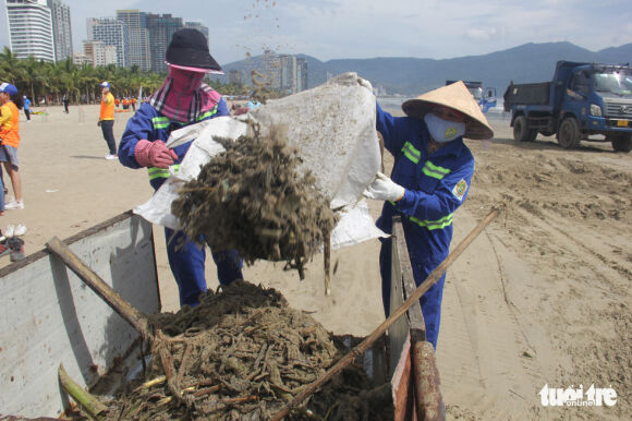 6 Dan Da Nang Keo Ra Bien Don Cat Lap Beo Dat Sau Bao