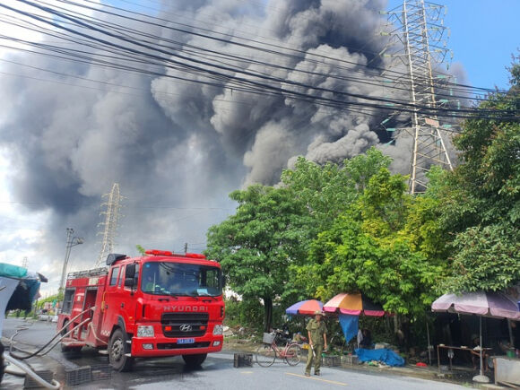 3 Chay Lon Tong Kho Hang O Hai Phong