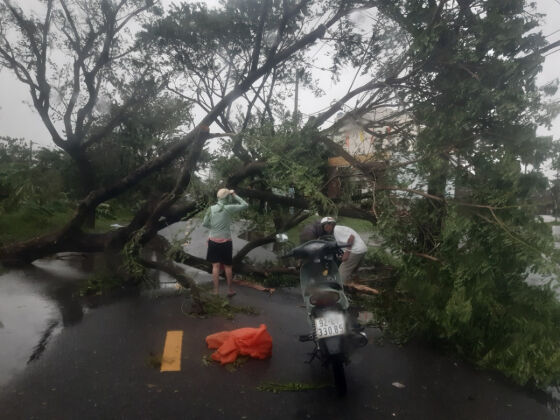 8 5 Thuc Pham Phai Tranh De Kiem Soat Luong Duong Trong Mau Cao Mot Cach Tu Nhien