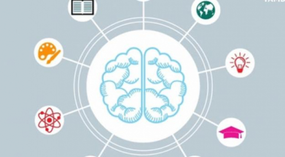 Giáo sư Harvard chỉ ra 8 loại trí thông minh: Không có người dốt, chỉ có người chưa tự hiểu mình