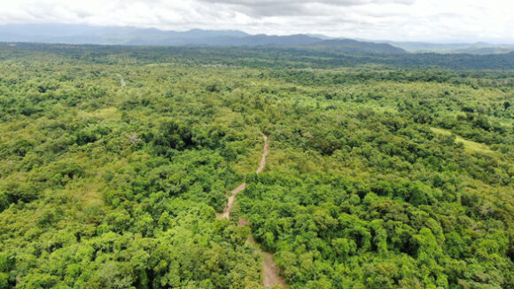2 Dak Lak Noi Kho Xu Ly Trang Trai Cua Nguyen Bi Thu Tinh Uy Giua Khu Bao Ton Thien Nhien