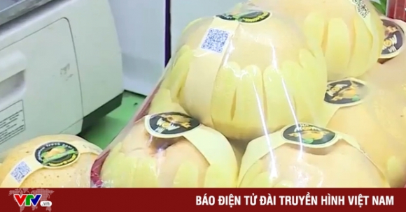 1 Vach Tran Thu Doan Gian Doi Xuat Xu Le Han Quoc