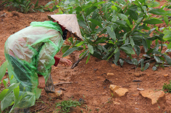 1 Do Xo Di San Lung Da Do Vi Nghe Noi Co Nguoi Trung