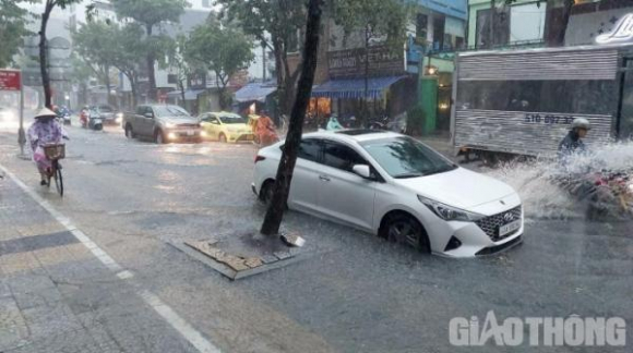 1 Mua Trang Troi Nhieu Tuyen Duong Trung Tam Da Nang Thanh Song