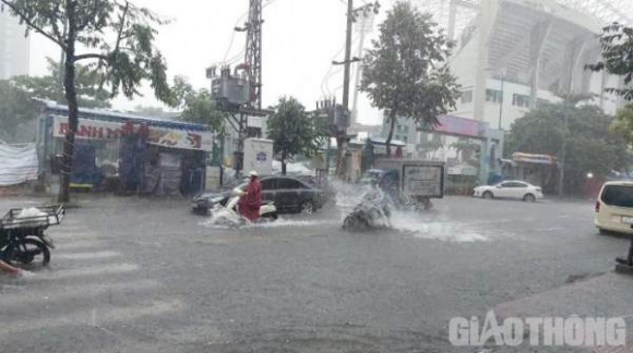 3 Mua Trang Troi Nhieu Tuyen Duong Trung Tam Da Nang Thanh Song
