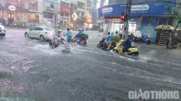 6 Mua Trang Troi Nhieu Tuyen Duong Trung Tam Da Nang Thanh Song