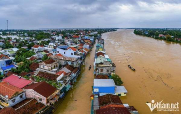 12 Hue Chim Trong Bien Nuoc Nhin Tu Bau Troi
