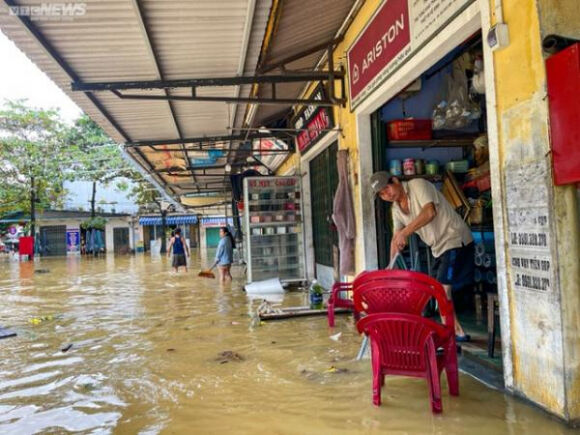 1 Hue Hang Hoa Bi Lu Nhan Chim Tieu Thuong Khoc Nghen
