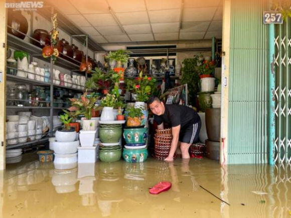 2 Hue Hang Hoa Bi Lu Nhan Chim Tieu Thuong Khoc Nghen