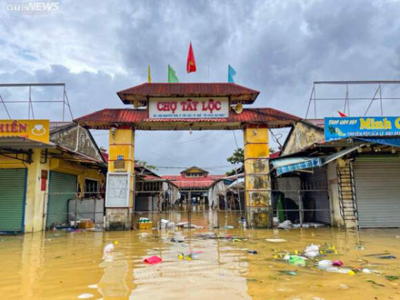 4 Hue Hang Hoa Bi Lu Nhan Chim Tieu Thuong Khoc Nghen