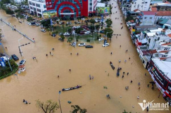 5 Hue Chim Trong Bien Nuoc Nhin Tu Bau Troi