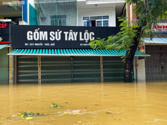 6 Hue Hang Hoa Bi Lu Nhan Chim Tieu Thuong Khoc Nghen