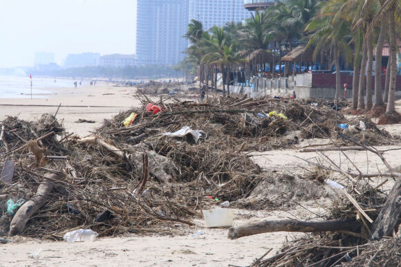 8 Sau Lu Lich Su Bai Bien Da Nang Tan Hoang