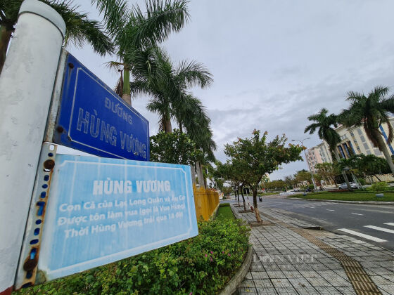 2 Quang Nam Chu Tich Tam Ky Phan Khoi Khi Noi Ve Du An Duong Hon 5km Voi Von 450 Ty Dong