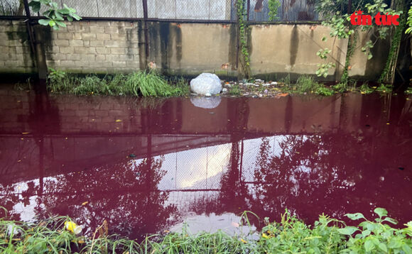 3 Tphcm Sau Mua Lon Nuoc Mau Do Tham Boc Mui Hoi Thoi Tran Vao Nha Dan