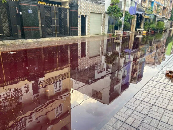 3 So Tai Nguyen Va Moi Truong Thong Tin Vu Nuoc Ngap Khu Dan Cu O Tphcm Co Mau Do