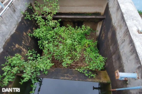 4 Nha May Nuoc Tien Ty Xay Xong Bo Hoang Phi Gan 10 Nam