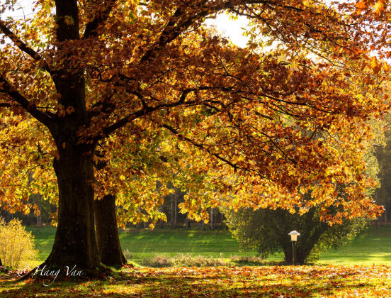11 Khoanh Khu Mua Thu O Vung Dong Duc Dep Ngo Ngang Qua Ong Kinh Cua Co Gai Viet