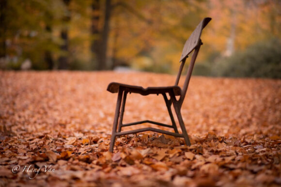 8 Khoanh Khu Mua Thu O Vung Dong Duc Dep Ngo Ngang Qua Ong Kinh Cua Co Gai Viet