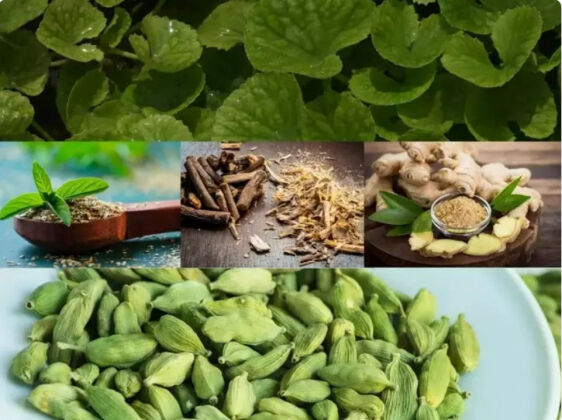 Thêm 5 thành phần tự nhiên này vào đồ uống hằng ngày để đảm bảo sức khỏe