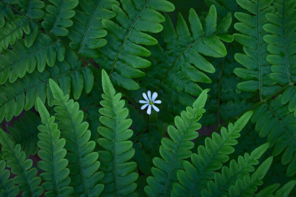 3 Tin The Gioi 18 11 Chien Su O Ukraine Trong Tuyet Roi My Lo Khung Bo Bang Drone Gan Bom