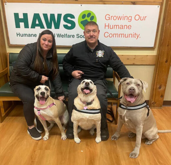 3 May Bay Roi Xuong San Golf 53 Chu Cho Song Sot