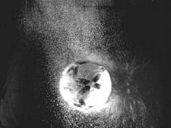 5 Qua Bong Cong Nghe Se Thay Doi World Cup Mai Mai