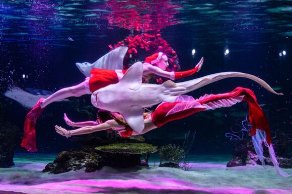 5 Tin Tuc The Gioi 9 12 My Ha Cap Quan He Voi Myanmar Giao Hoang Khoc Khi Nhac Den Ukraine