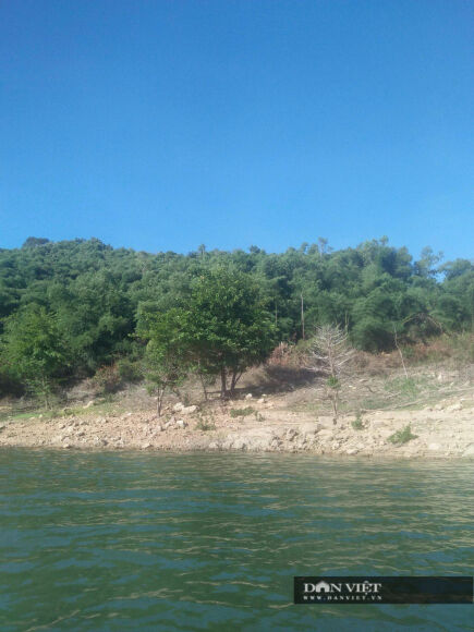 2 Chuyen Cong An Dieu Tra Vu 138ha Dat Rung Phong Ho Cua 3 Cha Con Nguyen Bi Thu Huyen Tai Binh Dinh