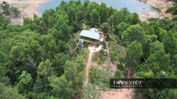 3 Chuyen Cong An Dieu Tra Vu 138ha Dat Rung Phong Ho Cua 3 Cha Con Nguyen Bi Thu Huyen Tai Binh Dinh