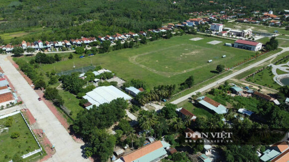 5 Chuyen Cong An Dieu Tra Vu 138ha Dat Rung Phong Ho Cua 3 Cha Con Nguyen Bi Thu Huyen Tai Binh Dinh