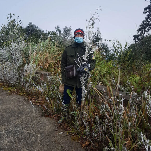 10 Xuat Hien Bang Tuyet O Rung Nui Bien Gioi Nghe An