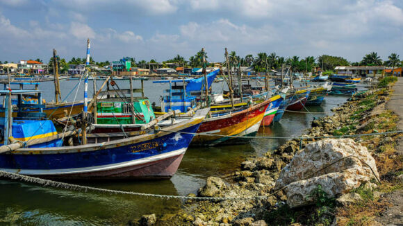 15 Bao My Danh Gia Da Lat Vinh Lan Ha La Nhung Kho Bau Tiem An Cua Chau A