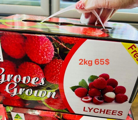 1 Vai Thieu Uc Bay Ve Viet Nam Co Gia Hang Trieu Dongkg Nha Giau Mua An Thu