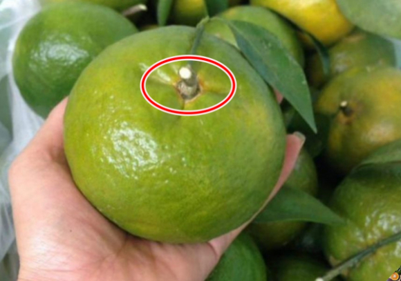 3 Mua Cam Cu Nhin Luot Diem Nay Chi 1 Giay La Biet Cam Trung Quoc Hay Viet Nam Doc Xong Nho Noi Cho Moi Nguoi Cung Biet