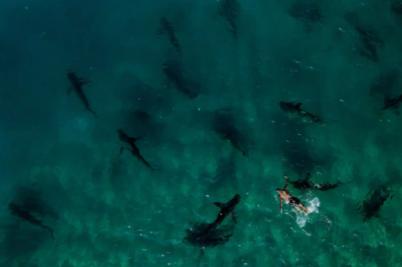 3 Tin Tuc The Gioi 31 12 Hop Tac Quan Su Nga   Trung Dien Giai Khac Nhau 4 So Nguoi Gui Den My