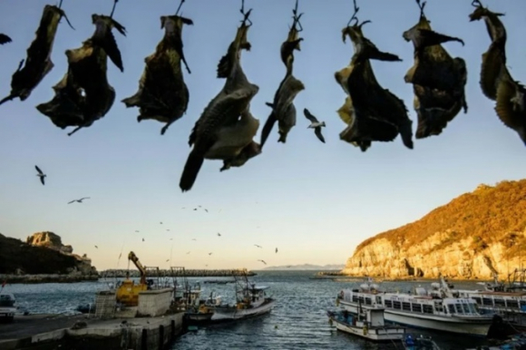 3 Hon Dao Tien Tieu Han Quoc Quyet Bao Ve Bang Moi Gia