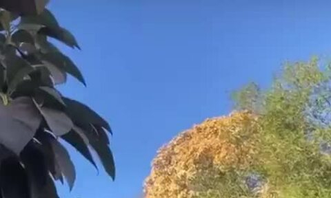 2 Bang Dang Mexico Dung Sung Hang Nang Ban Cuong Kich Quan Doi