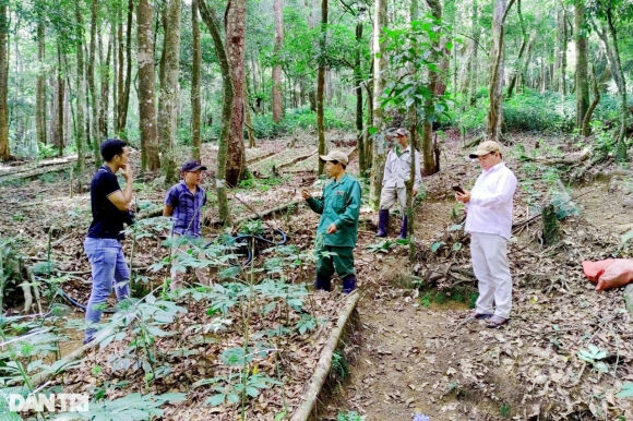 2 Doanh Nghiep Trong Hon 10 Ha Sam Ngoc Linh Tren Giay