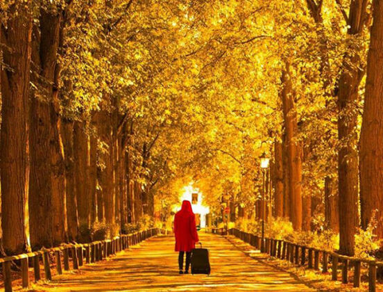 9 Nhung Buc Chung Minh Nuoc Duc La Mot The Gioi Than Tien